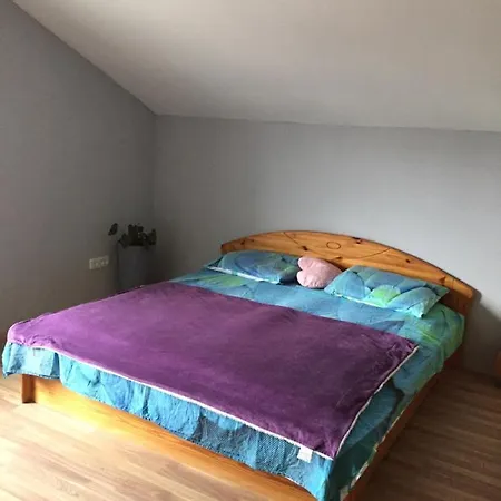 Guest House منزل للإقامة *